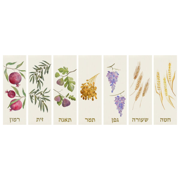 Shivas Haminim Signs Thumbnail